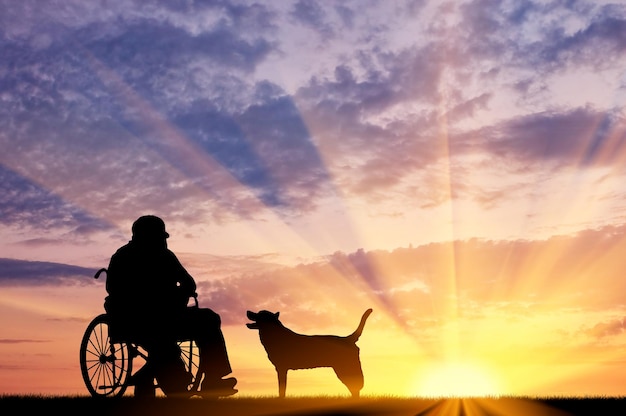 Concept of disability and old age. Silhouette of disabled person in a wheelchair with his dog at sunset