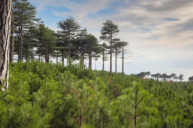 Il concetto di scoperta ed escursionismo natura e libertà