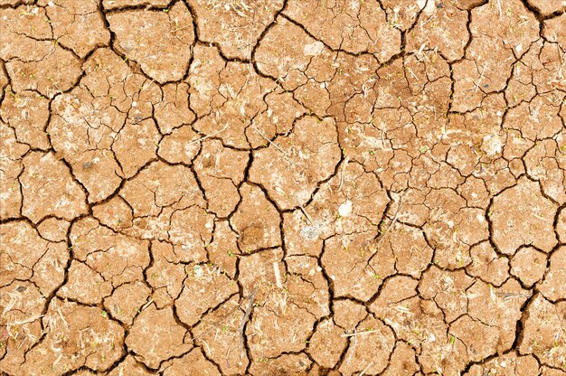 Photo concept of drought. cracked soil closeup