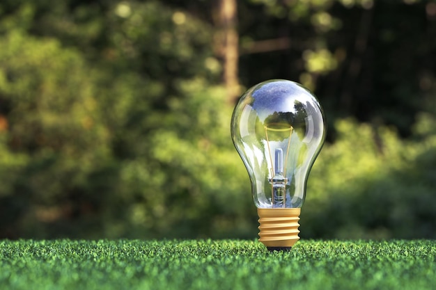 Photo the concept of an ecofriendly energy source light bulb on the grass 3d render