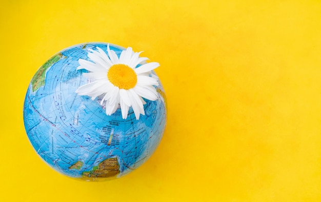 The concept of ecology and nature protection A globe with a daisy on a yellow background with a place for text The banner