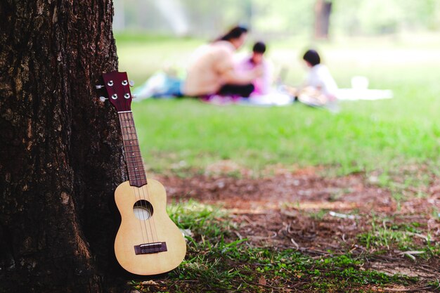 Foto picnic di rilassamento della famiglia di concetto in parco