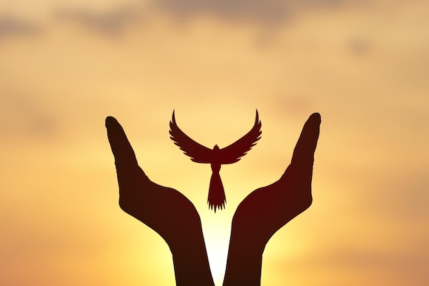 自由の概念影の鳩は朝の朝のackgroundで人間の手の黄金の太陽の背景の上を飛ぶ