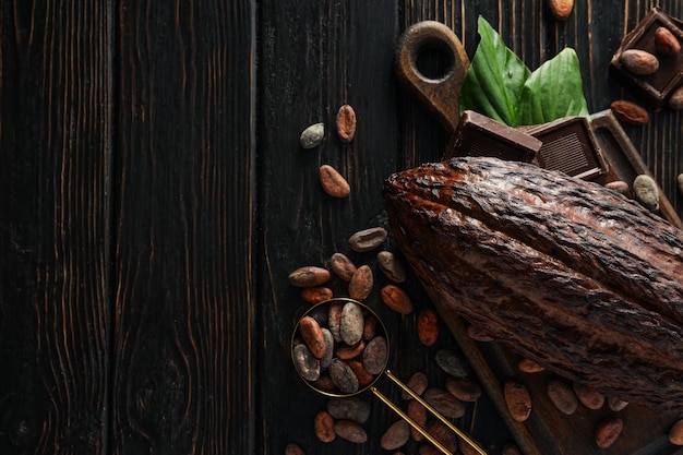 Concept of fresh and aromatic food cacao beans