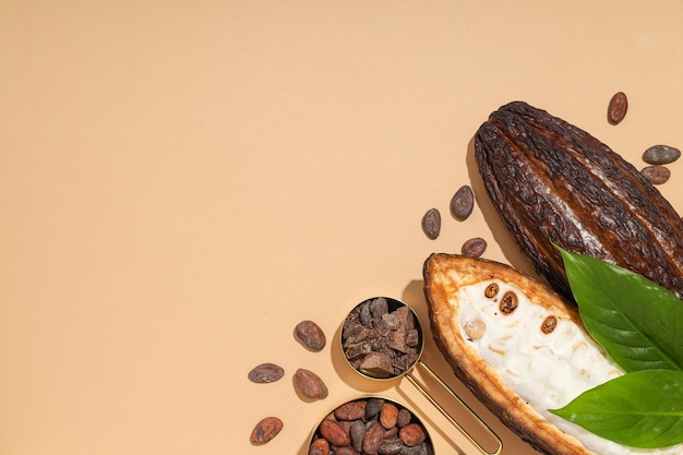 Concept of fresh and aromatic food cacao beans