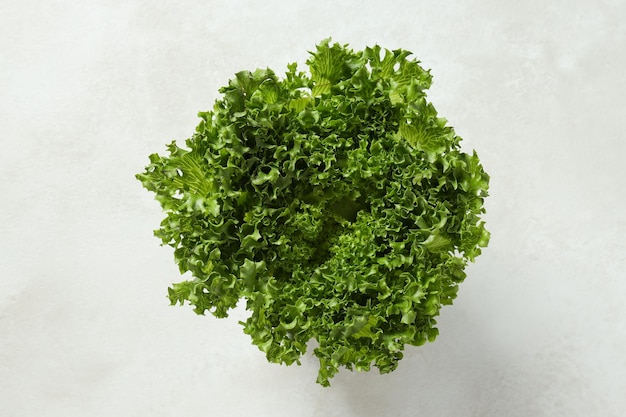 Concept of fresh and green food lettuce