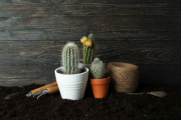 Concept of gardening against rustic wooden background