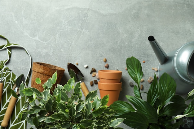 Photo concept of gardening on gray textured background