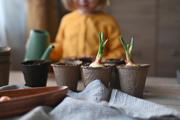 Concept of gardening little girl is engaged in planting seeds for seedlings pouring earth into pots for growing crops