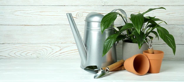 Photo concept of gardening on white wooden