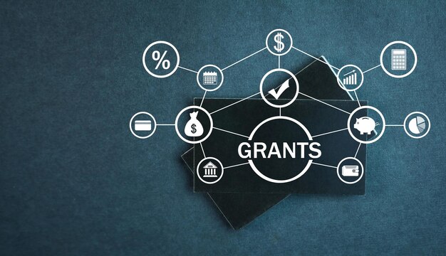 Concept Of Grants Business Finance