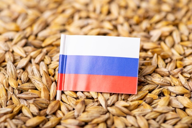 Concept of growing barley in Russian Federation