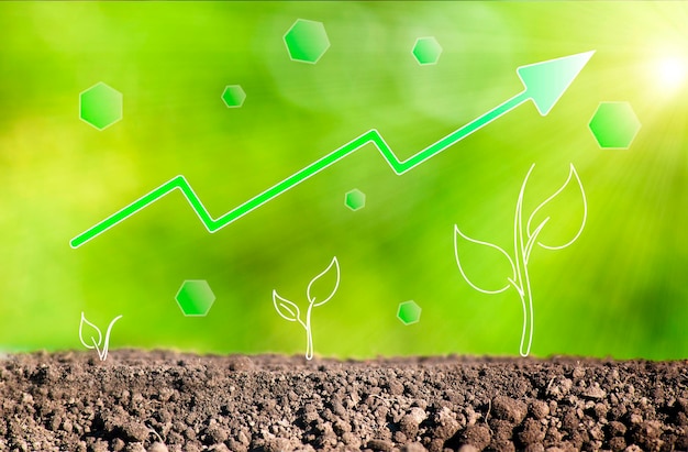 The concept of growth development accumulation sprouts and the green arrow up