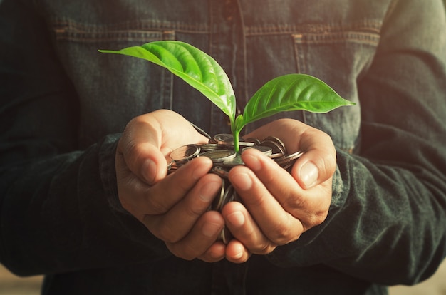 概念の手はお金を保持し、小さな植物を成長させる