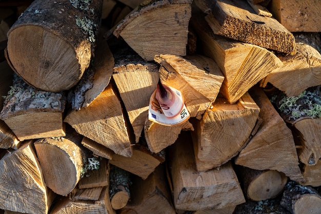 Concept of heat energy cost euro banknotes between the logs of wood