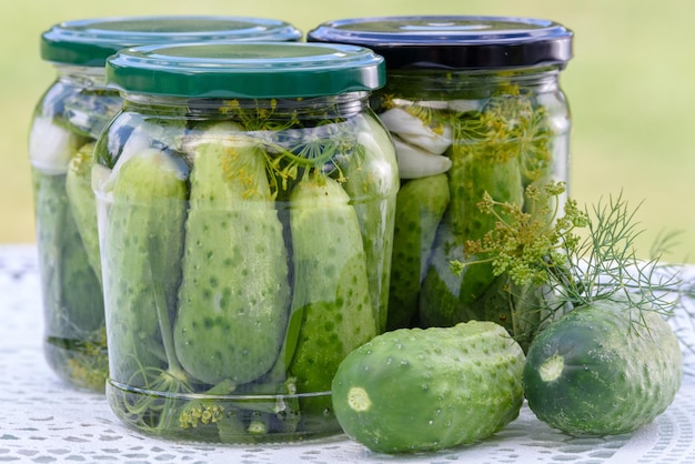 The concept of homemade preserves jars of pickled cucumbers on a table next to raw green ground cucumbers and dill