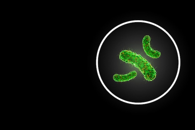 장내 마이크로바이옴의 개념 감염원 박테리아 간균 대장균 부분 현미경 3D 렌더링 3D 일러스트레이션에서 확대된 이미지