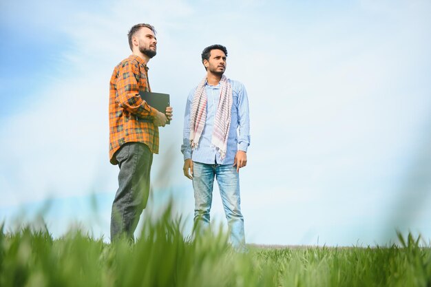 The concept of international relations in agrarian business Indian and European farmers stand in a field of green wheat