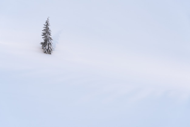 The concept of loneliness. Lonely tree in the winter mountains. Cold nasty weather. Snowy background with copy space for text