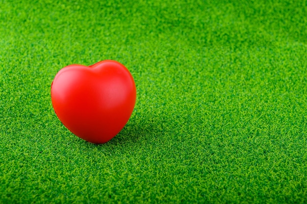 Foto concetto di amore per il giorno di san valentino o per l'assistenza sanitaria cuore di gomma rosso messo su erba verde