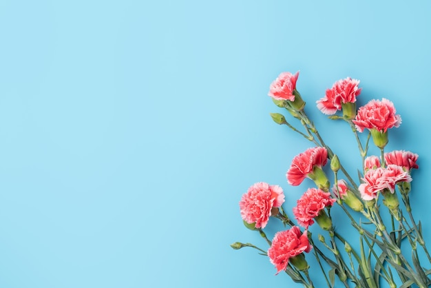 Concept of Mother's day holiday greeting gift design with carnation bouquet on bright blue table surface