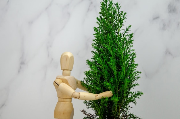 Concept of nature conservation. wooden figurine of man stands next to cypress tree, pointing at it