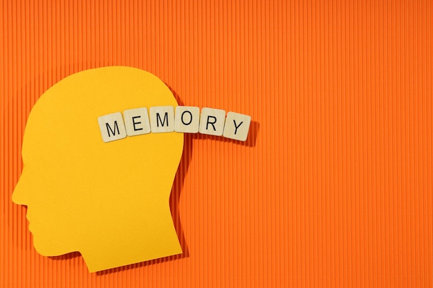 写真 テキストの記憶記憶喪失空間に関する問題の概念