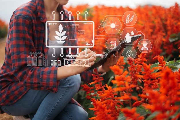 사진 농업 재배 활동에 현대 기술을 적용한 일몰 빛이 있는 들판 정원에서 태블릿을 사용하는 스마트 농부의 개념