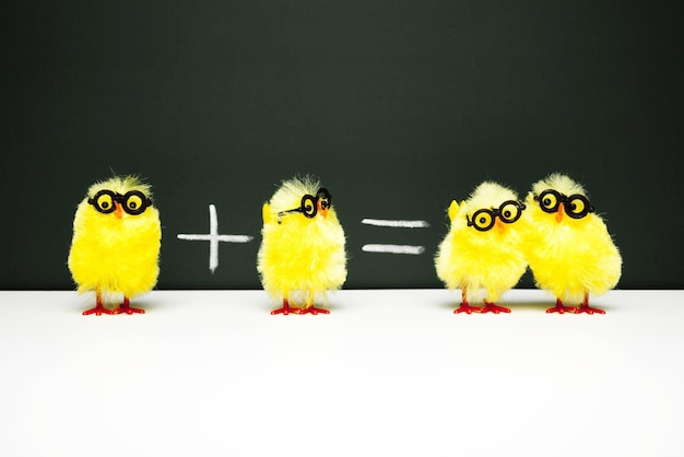 Concept photography of chicks showing math basics