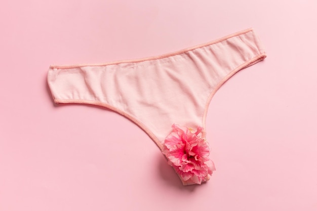 The concept of the reproductive organs of a woman the vagina in the form of panties