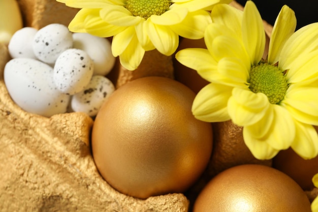Concept of Richness and prosperity golden eggs