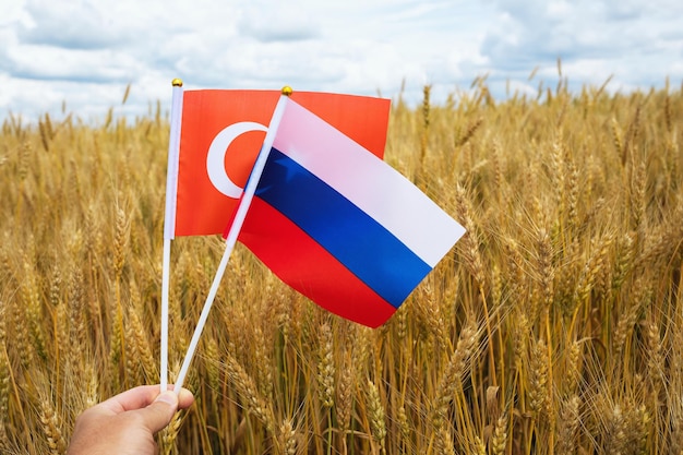 Concept rond het thema van de graanovereenkomst en het onderhandelingsproces tussen Turkije en Rusland