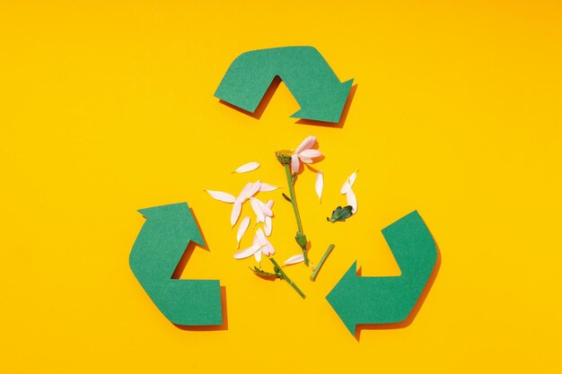 concept of save the world and recycling