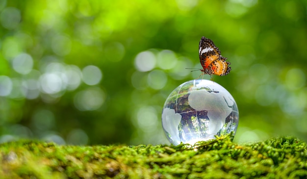 Foto concetto salva il mondo salva l'ambiente il mondo è nell'erba dello sfondo verde bokeh