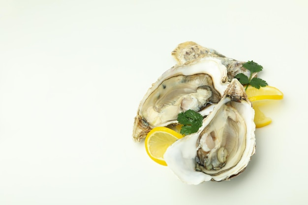 Concept of seafood oysters space for text