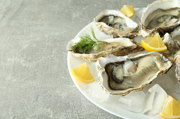 Concept of seafood oysters space for text