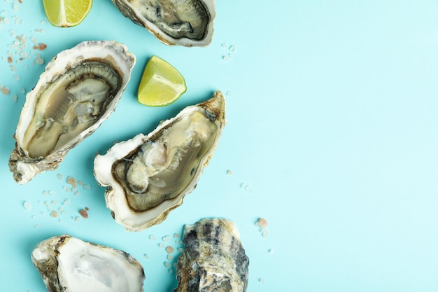 Photo concept of seafood oysters space for text