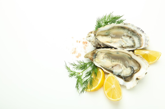 Concept of seafood oysters space for text