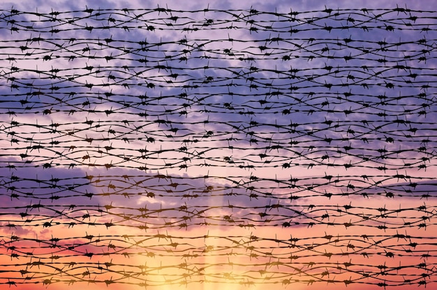 Concept of security. Silhouette of barbed wire against a beautiful sky