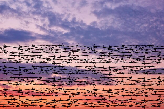 Concept of security. Silhouette of barbed wire against a beautiful sky