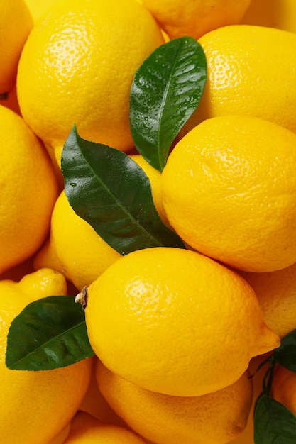맛있는 감귤류 과일 맛있는 레몬의 개념