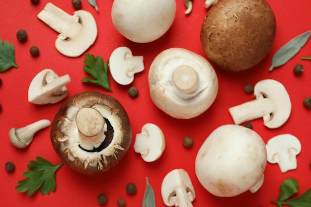 Concept of tasty food with champignon on red background