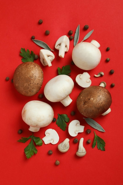 Concept of tasty food with champignon on red background