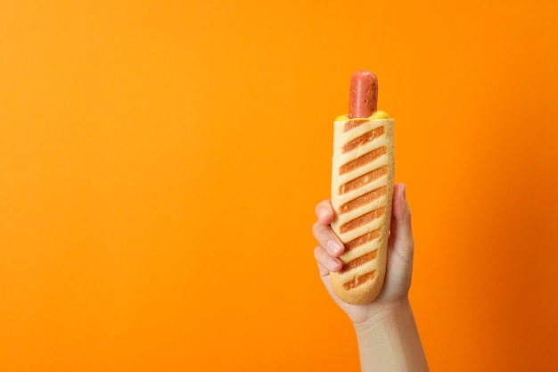 フランスのホットドッグとおいしい料理のコンセプト