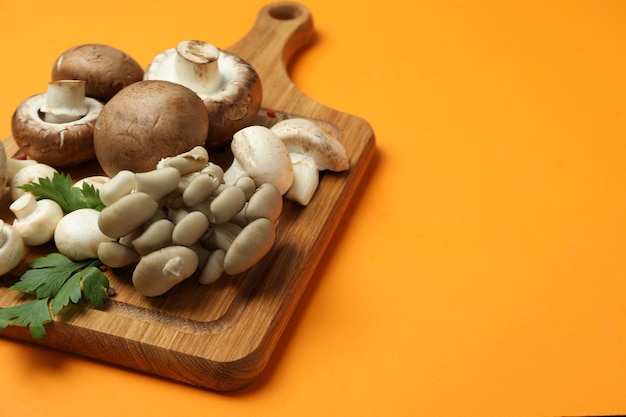 Concept of tasty food with mushrooms on orange background