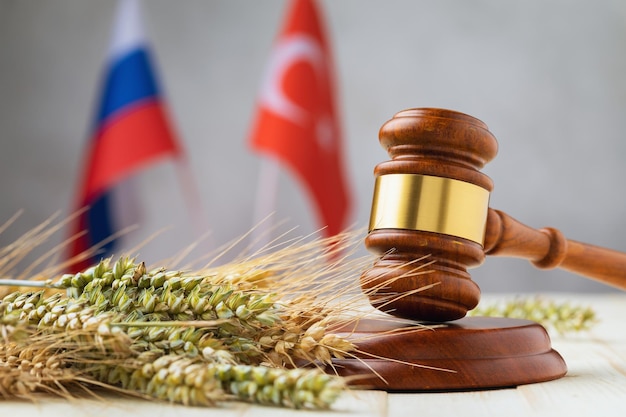 Concept on the topic of a grain deal after the negotiation process between Russia and Turkey