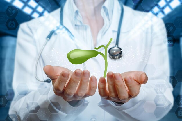 The concept of treatment of the gallbladder Doctor shows gallbladder on blurred background