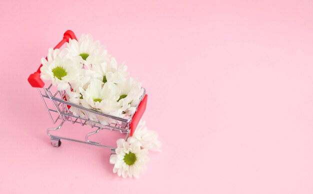 Concept van de vroege lente, witte bloemen in een trolley voor de supermarkt