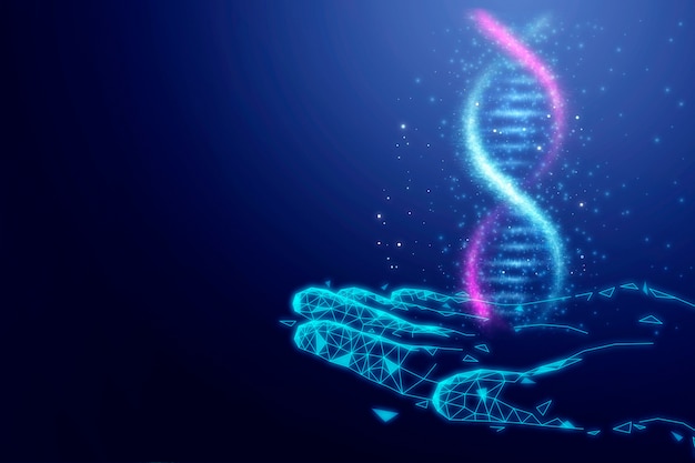 Concept van DNA-representatie