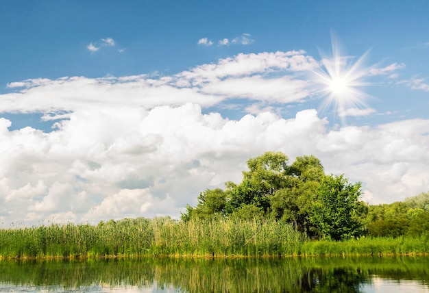 Concept van ecotoerisme. Lente landschap van de rivier in een bos